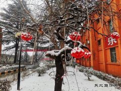 校园春雪