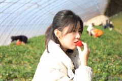 大唐辽宁新英皇体育事业部：开展“情暖大唐，热爱生活”主题采摘活动