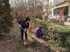 蒲白中心社区：用责任和担当“扮靓”矿区容颜