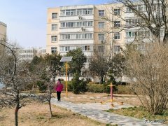 蒲白白水社区：小区这个春天有点儿暖