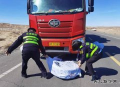 阿勒泰执法支队：Ｖ捶ù蠖蛹比褐谥保褐谂庞墙饽