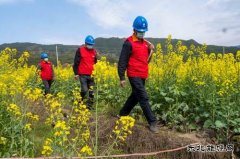 江西婺源：全力“战疫”保春耕生产供电