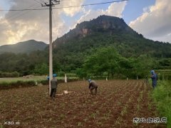 变压器故障：会泽供电局紧急抢修点亮67户山区村民