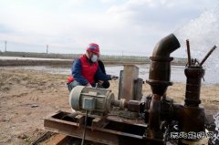 国网宝泉岭供电公司：优服务 增替代 清洁英皇体育绿田间