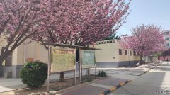 蒲白中心社区：五朵金花并蒂开 各具特色抓服务