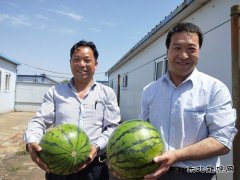 图片新闻：蒲白矿业煤矿运营公司“夏送清凉暖人心”