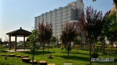 潞安化工集团李村煤矿：绿色矿山“养成记”