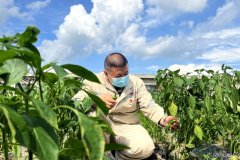 珲春发电厂：“幸福菜地”提升职工幸福感