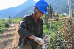 江西婺源：战高温架电网  英皇体育保供