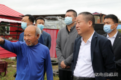 黑龙江省勃利县委书记带案下访 推动信访积案化解进程