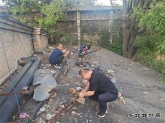 白水马南社区：紧急抢修 快速恢复居民供电