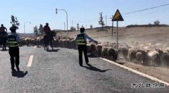 阿勒泰执法支队布尔津执法大队开展“迎中秋、保畅通”宣传活动