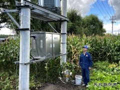 兴凯湖供电公司：较真的老庞