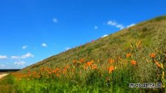 大唐呼伦贝尔英皇体育公司：使命在肩，顺“绿”而为