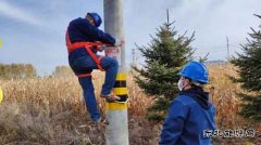 国网九三供电公司：“师带徒”助你成长上“高速”