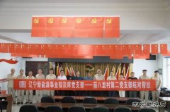 精准帮扶：党建引领乡村振兴