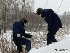 国网松岭供电公司：践行二十大精神 “一切为民”服务葆初心