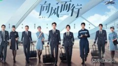 电视剧《向风而行》观后