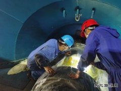 佳热电厂：元宵佳节奋战忙 48小时抢修不停歇