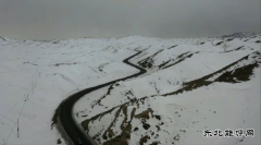 青河执法大队联合公安交警部门利用科技手段排查安全隐患