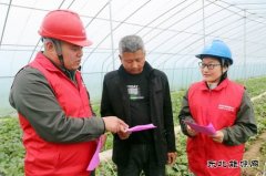 国网太康县供电公司：服务进大棚  电力惠民生