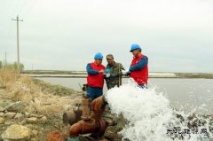 国网佳木斯供电公司：电力先行，服务春灌春耕“电力十足”