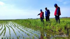 国网黑龙江九三供电公司：助力乡村经济发展