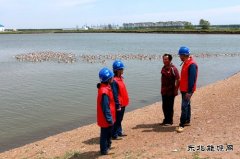 兴凯湖供电公司：贴心服务助力垦区特色养殖业蓬勃发展