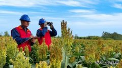 国网九三供电公司：助力乡村旅游业发展