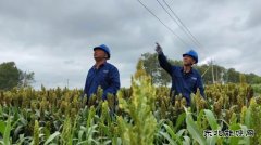 国网九三供电公司：“汛”速行动防台风