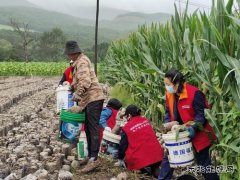 国网牡丹江东宁市供电公司：守望相助 同心重建