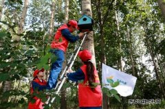 兴凯湖供电公司：首个生态日 为鸟建新居