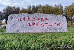 陕西中能煤田有限公司：秋意中能，倾国倾城