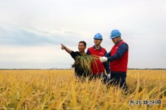 国网佳木斯供电公司：护航秋收 “电”靓“丰”景
