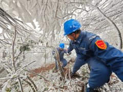 登。】萍既诒