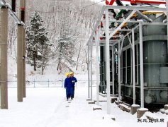 黑龙江水电总厂：寒潮来袭 特巡特护保供电