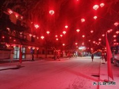 摄影作品：春雪闹新春