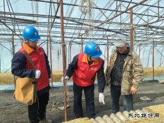 国网东宁市供电公司：撑起“安全伞”助力食用菌产业“开门红”