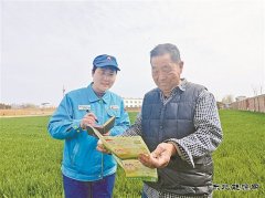 河南销售多措并举 提供订制化服务