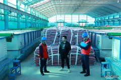 兴凯湖供电公司：党员带头助春耕 不负春光不负农