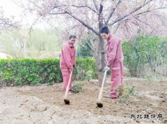 春耕植花环境美