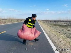 哈巴河执法大队：及时清除路面杂物 确保公路安全畅通