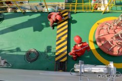 潮起潮涌作业忙