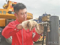 “高烤”模式下，躺平？不可能！