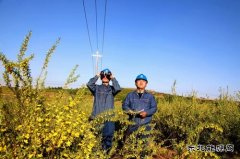 国网敖汉旗供电公司：积极备战迎峰度夏