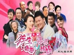 写在《独生子女的婆婆妈妈》观看之后