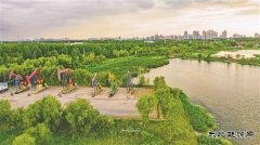 大庆油田：打造生态治理“新名片”