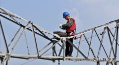 商丘供电公司：爱鸟护线  奏响和谐曲