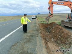 富蕴执法大队：开展路域环境整治行动 全面提升公路“颜值”