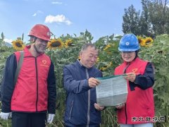 凉城供电公司：电力足向阳花盛开